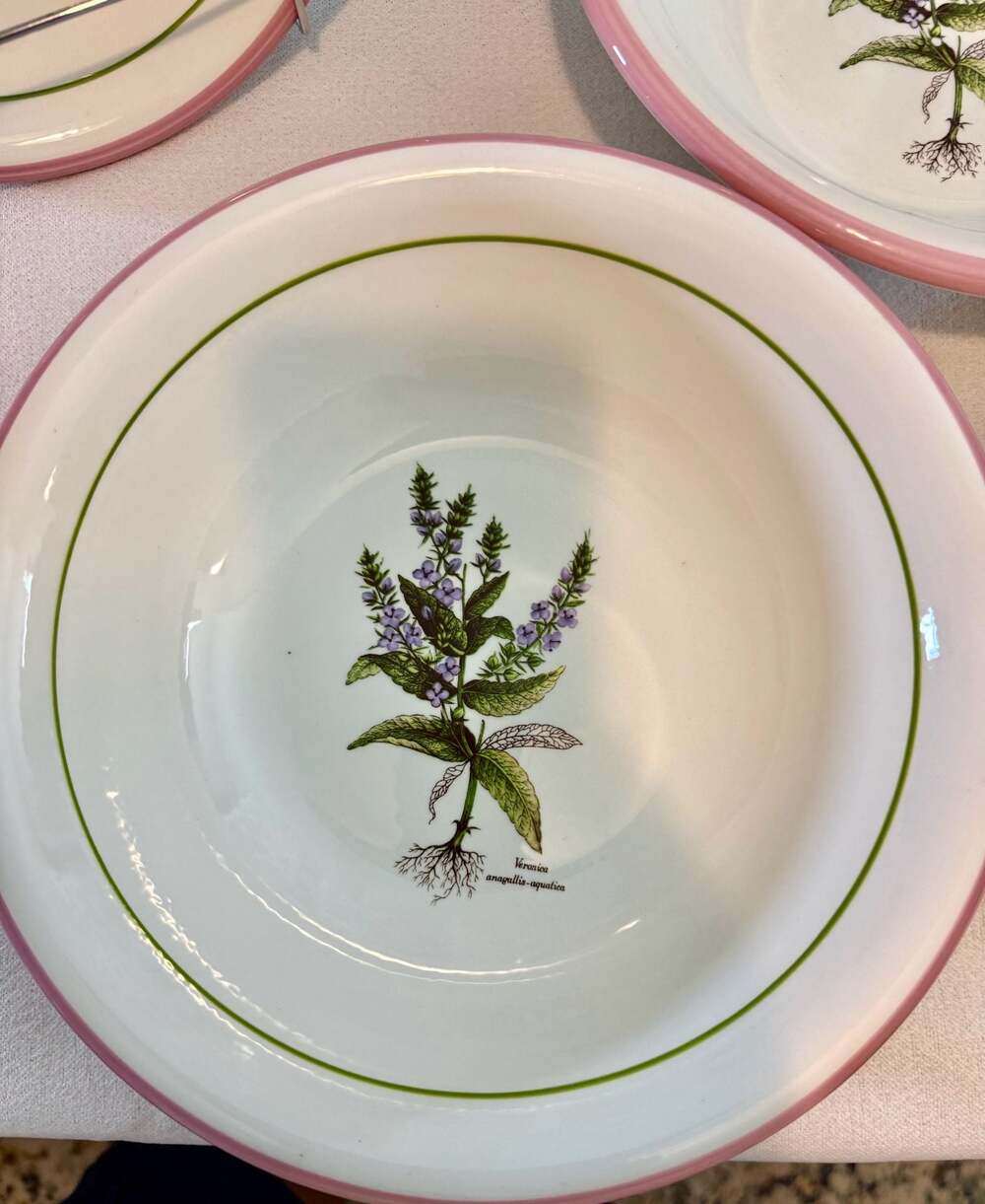 Set of 4 Large Primula Italian Botanical Soup Bowls - Picture 6 of 13